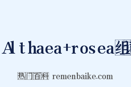 Althaea+rosea组词是什么意思的图片